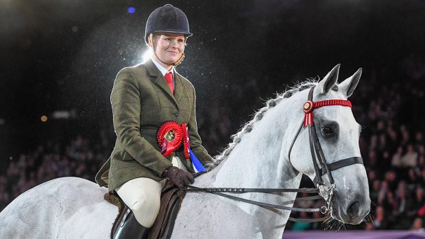 2022 SEIB Search For A Star