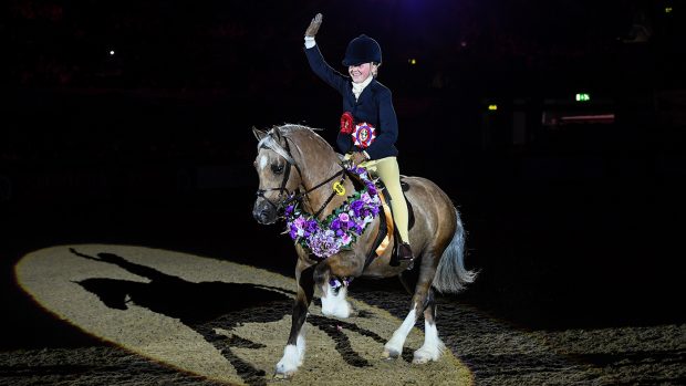 HOYS M&M working hunter pony championship