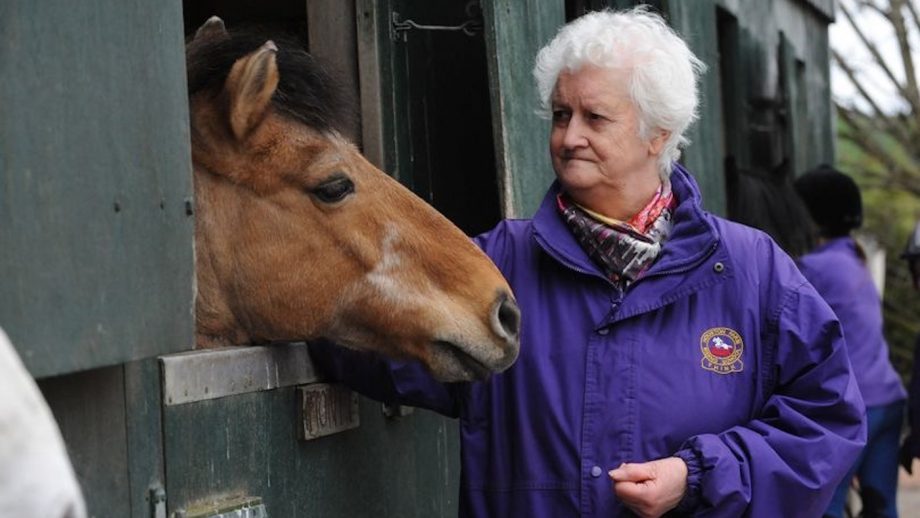 Houston Farm riding school has celebrated its 50th birthday