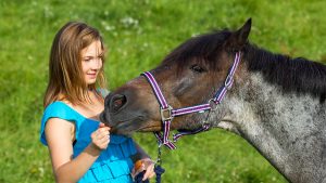 Girl giving horse a treat