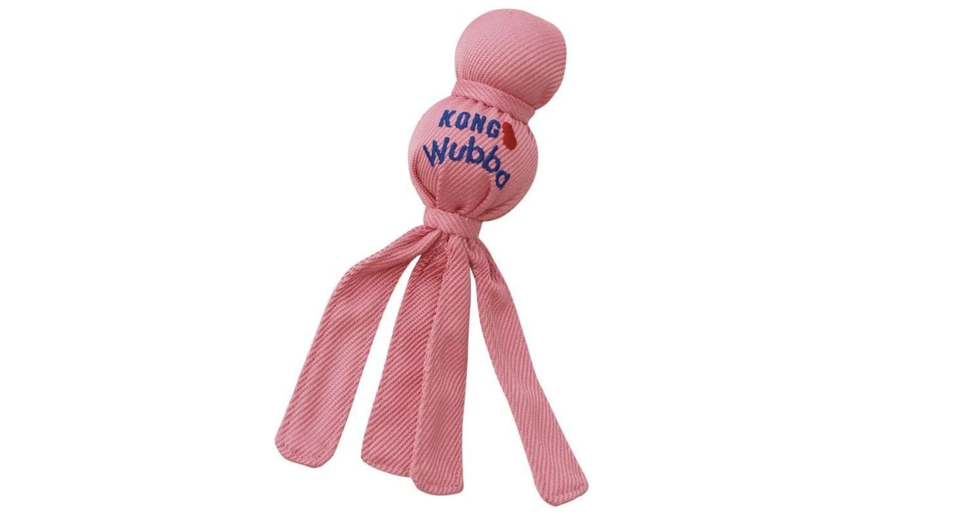 Puppy toys: Kong Wubba Puppy