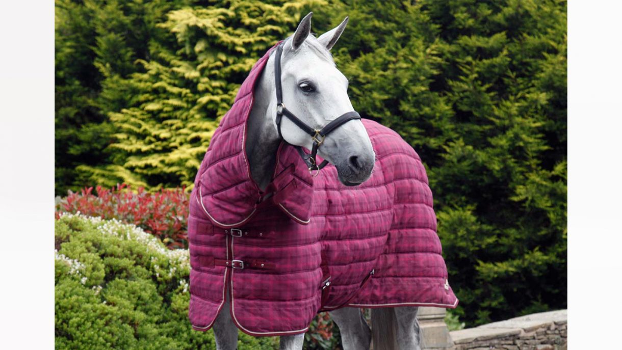 Best stable rugs for keeping your horse warm this winter Horse & Hound