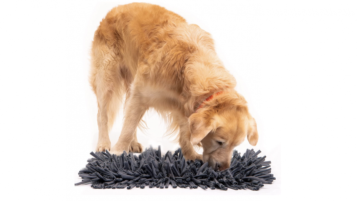 Best snuffle mats for dogs to encourage natural foraging instincts