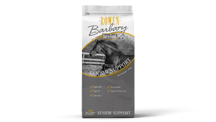 Best feeds for older horses to keep them feeling young Horse & Hound