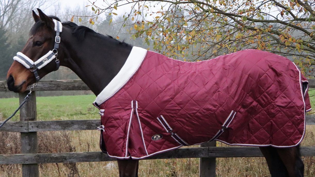 Best stable rugs for keeping your horse warm this winter Horse & Hound