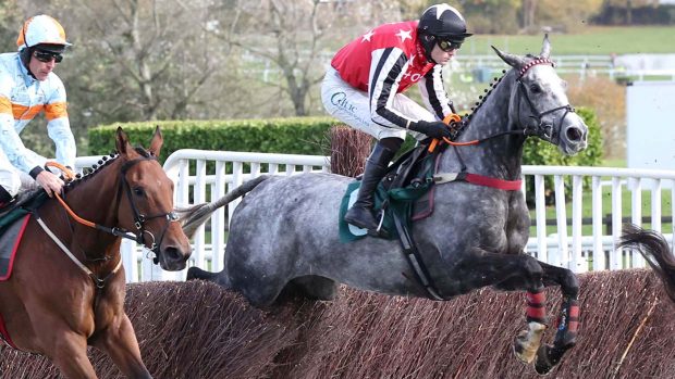 Racehorse trainer Sheila Lewis is chasing the Cheltenham dream with Straw Fan Jack a contender for the Arkle at next year's Cheltenham Festival