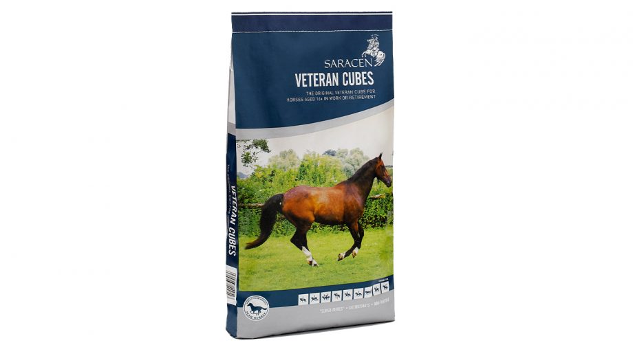 Best feeds for older horses to keep them feeling young Horse & Hound