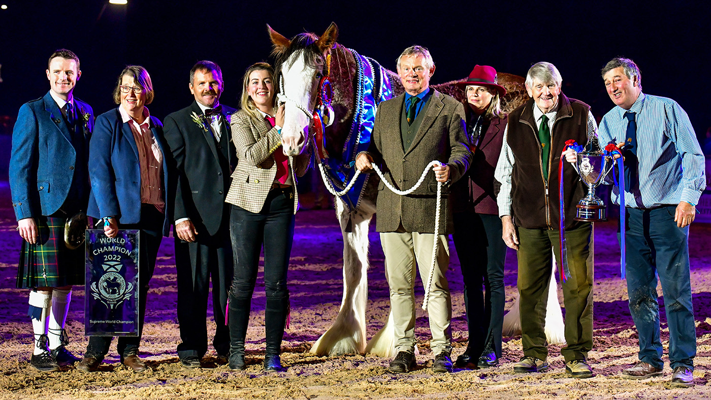 Tulloes Emily leads 2022 World Clydesdale Show Horse & Hound