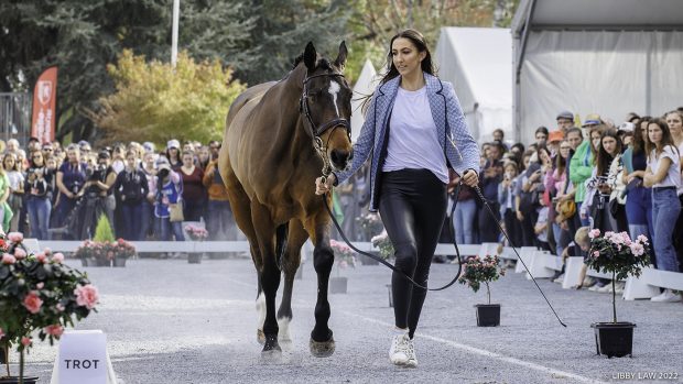 Pau Horse Trials trot-up Xanthe Goldsack with Hi Tech