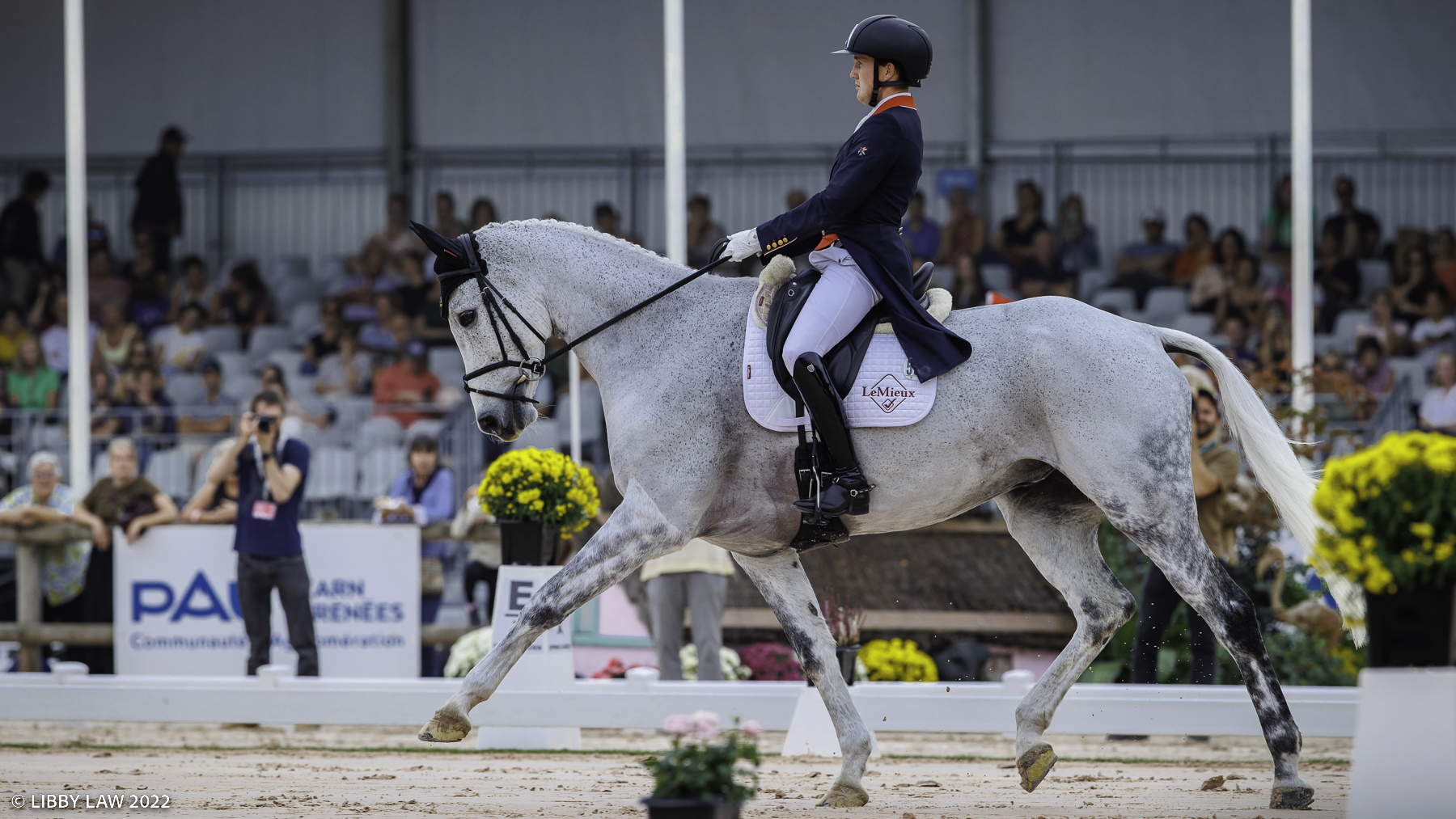 Pau Horse Trials dressage Tom McEwen and Mollie Summerland impress
