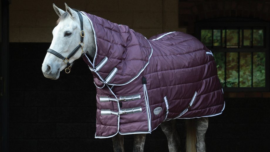 Best stable rugs for keeping your horse warm this winter Horse & Hound