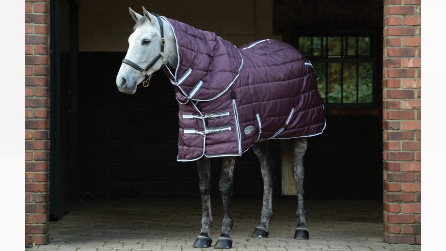 Best stable rugs for keeping your horse warm this winter Horse & Hound