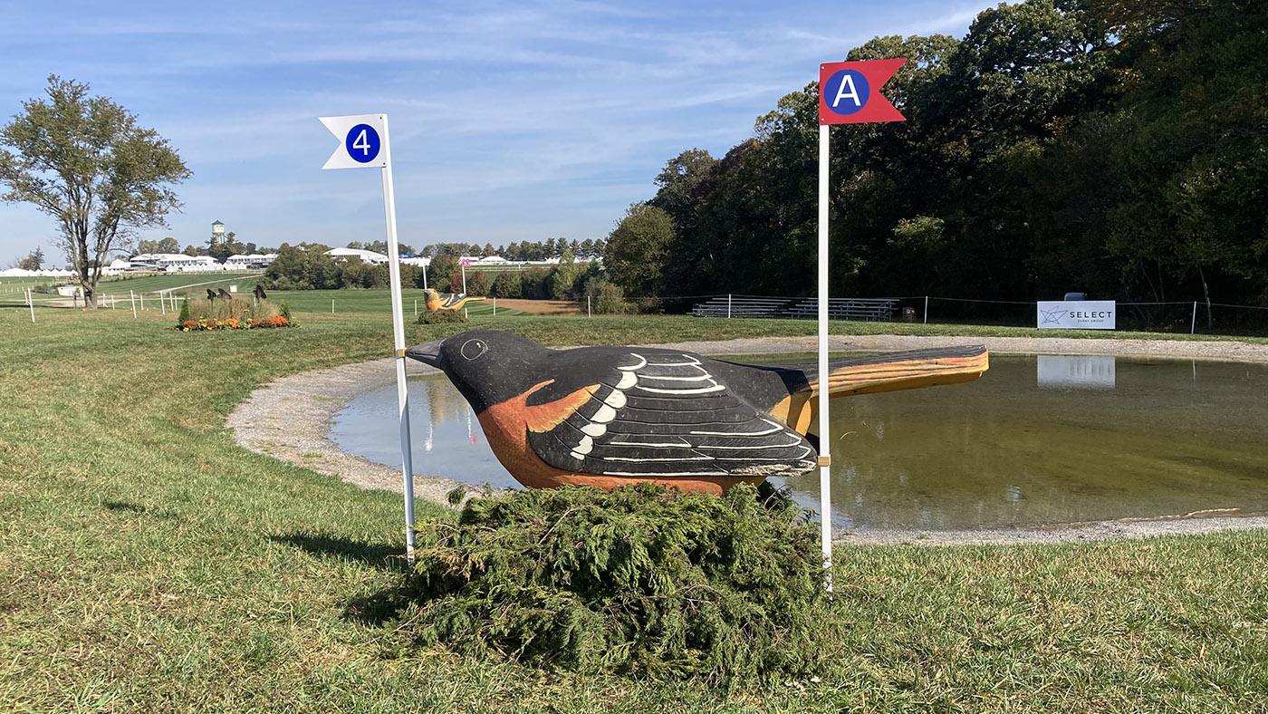 Maryland 5 Star cross-country course 2022: fence 4a