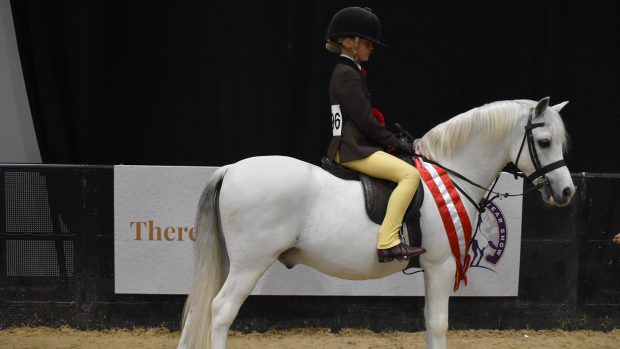 HOYS 122cm junior M&M working hunter pony