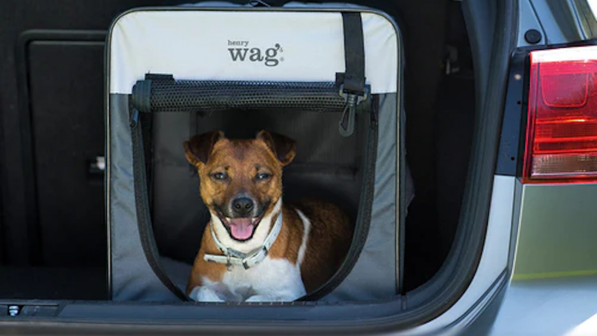 Best dog crates to keep your dog safe at home and in the car