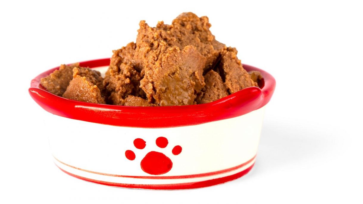 Best wet dog food for overall health and happiness