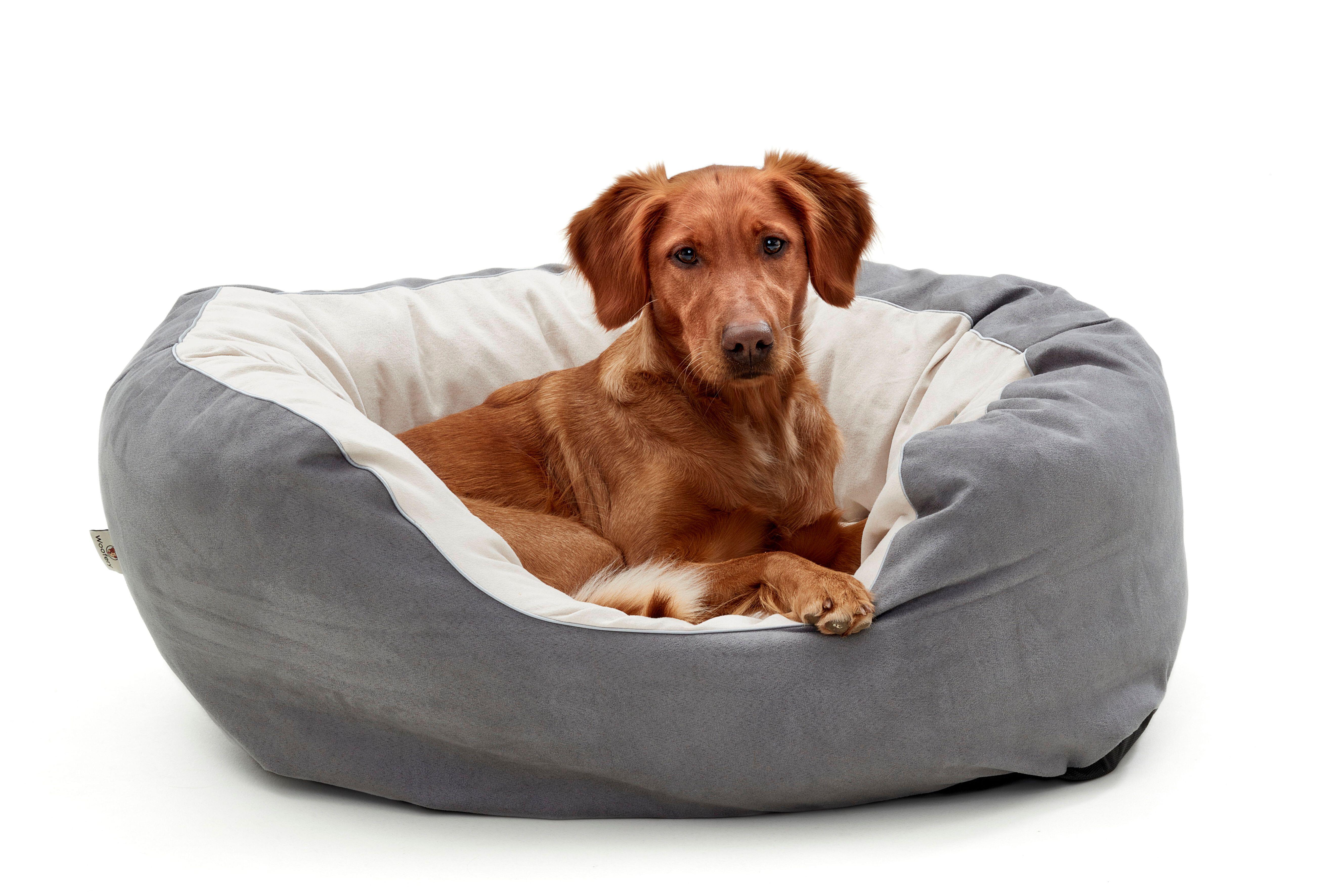Canine comfort premium pet bed Clearance