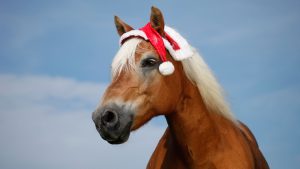 Horse in a Christmas hat