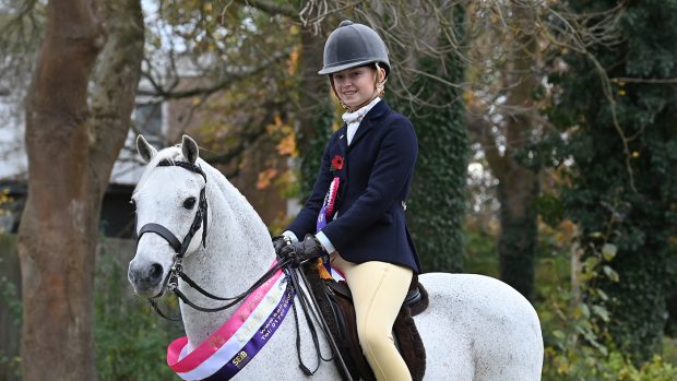 2022 SEIB Search For A Star