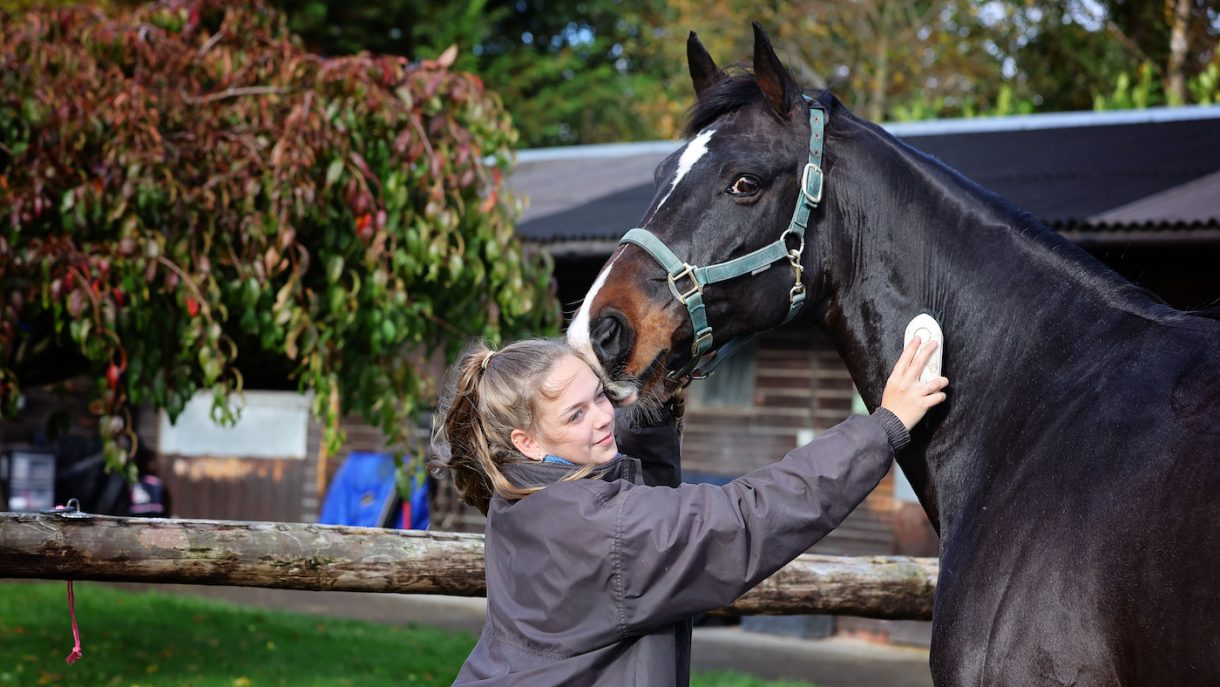 ‘We need to make working with horses attractive’ organisations join