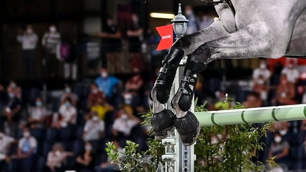 A horse pictured showjumping. New FEI rules will come into force next year affecting equestrian sports including showjumping, eventing and dressage