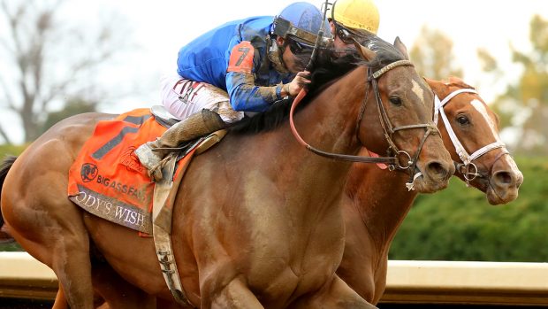 Cody’s Wish winning the Breeders’ Cup Dirt Mile