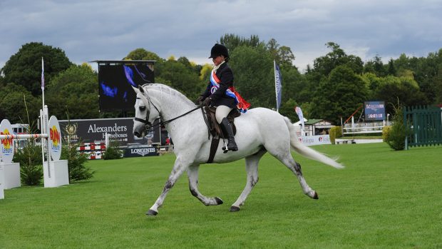 Walstead Page Boy winning the Royal International M&M young rider supreme with Terri Gregson in 2015