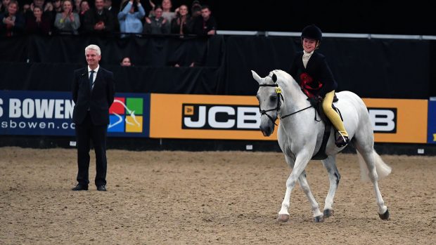 HOYS Working Hunter Pony of the Year Championship
