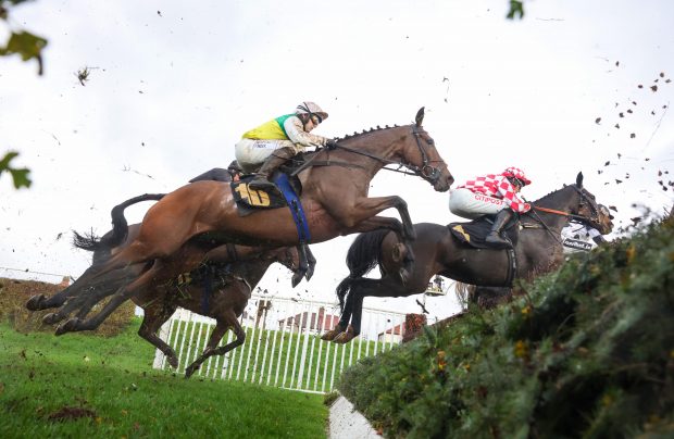 Horses to follow: Iron Bridge, trained by Jonjo O'Neill and ridden by his son Jonjo O'Neill Jr, win at Carlisle