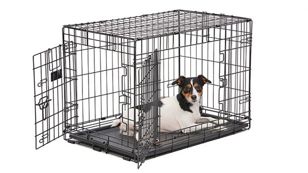 Stunning Live Edge Dog Crate With Savory Formulations image