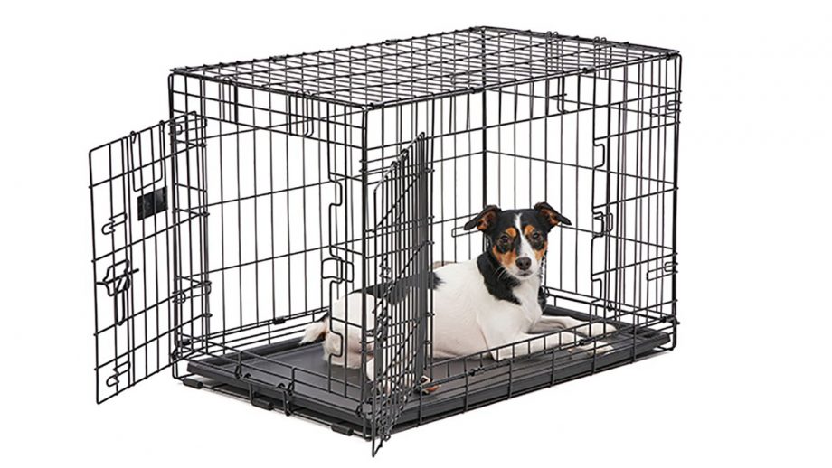 Best dog crates to keep your dog safe at home and in the car
