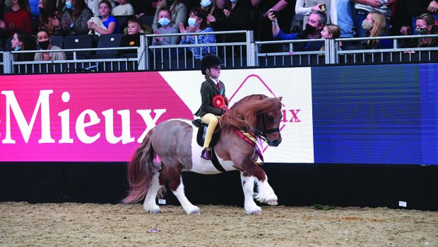 london international showing classes