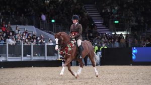 Rebecca Penny and Lynuck The Showman winning the BSPS Heritage supreme title at London International in 2021.