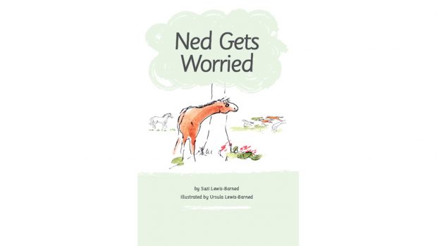Ned Gets Worried book cover