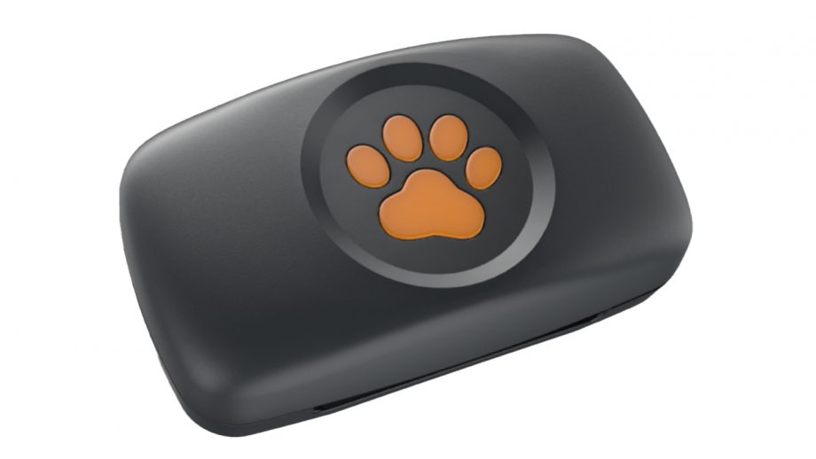 Best GPS trackers for dogs to keep tabs on your pooch Horse & Hound