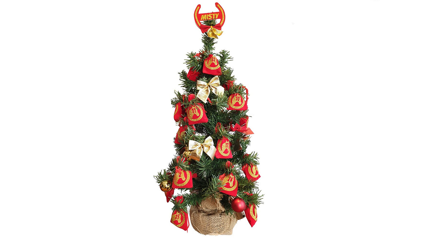 Personalised Pets Christmas Tree Advent Calendar