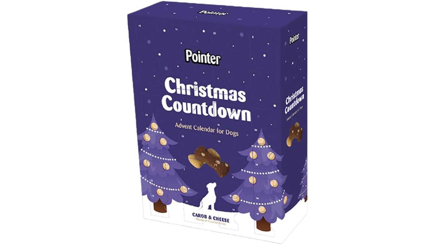 Pointer Advent Calendar for dogs