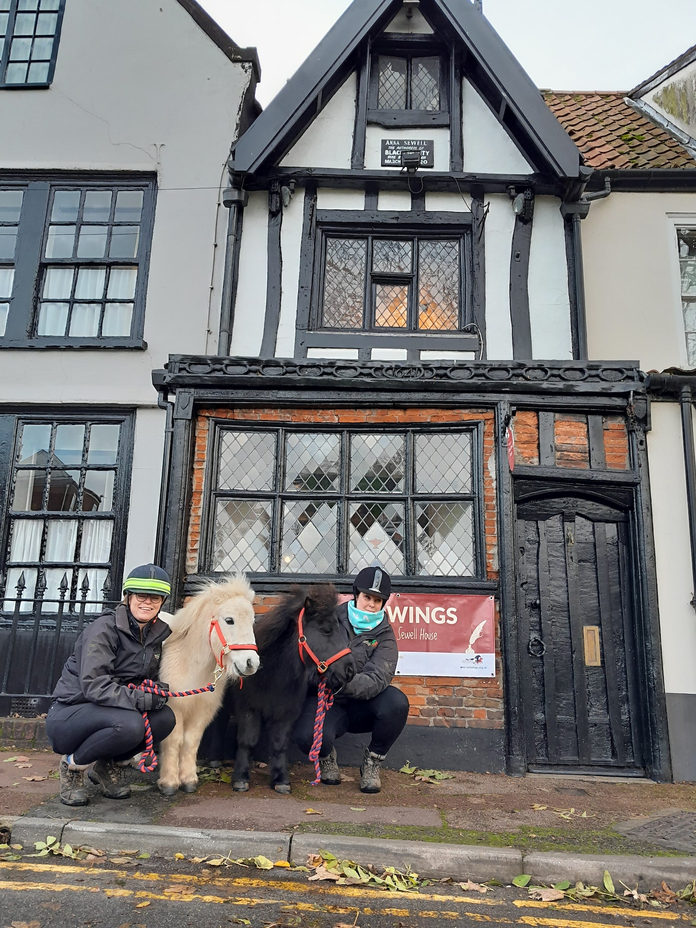 Redwings has opened Anna Sewell House, pictured, the birthplace of Black Beauty author Anna Sewell to the publc