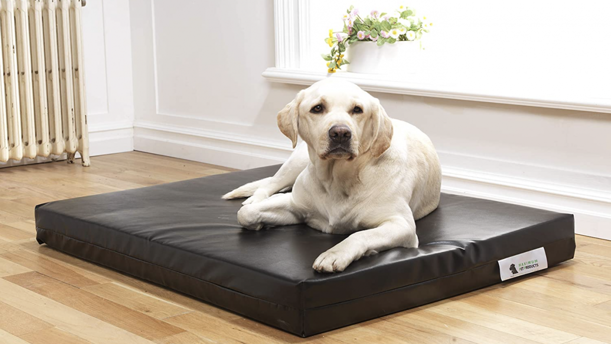 Best dog beds for comfort, cosiness, toughness and style