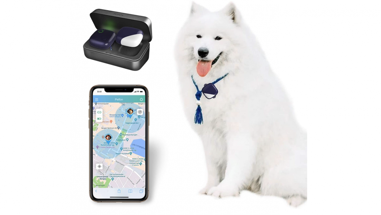 Best GPS trackers for dogs to keep tabs on your pooch Horse & Hound