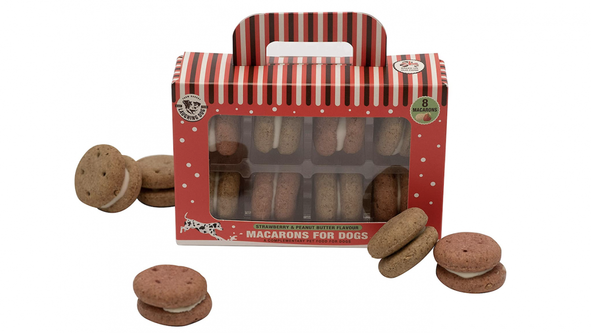 Best Christmas gifts for dogs that will make tails wag | Horse & Hound