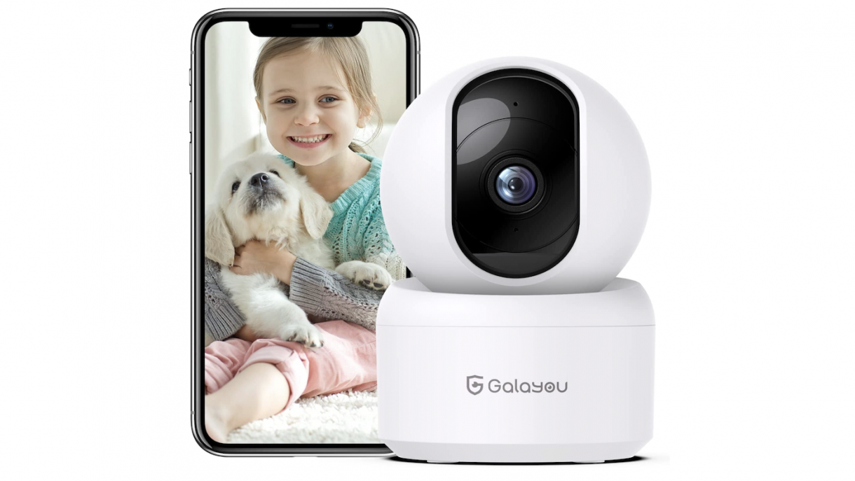 Best pet cameras to check on your pooch from a distance