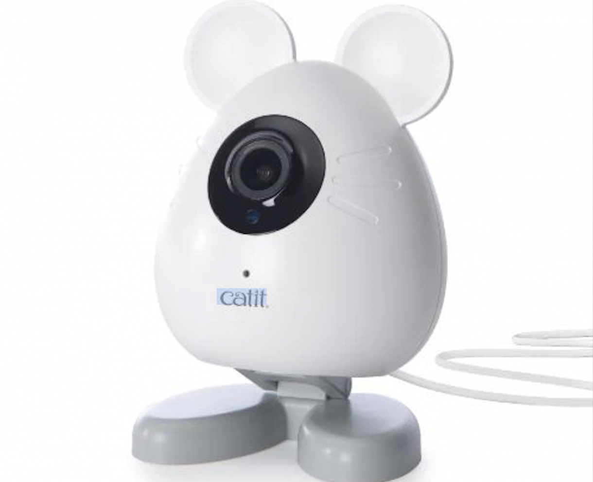 Best dog cameras to check on your pooch from a distance