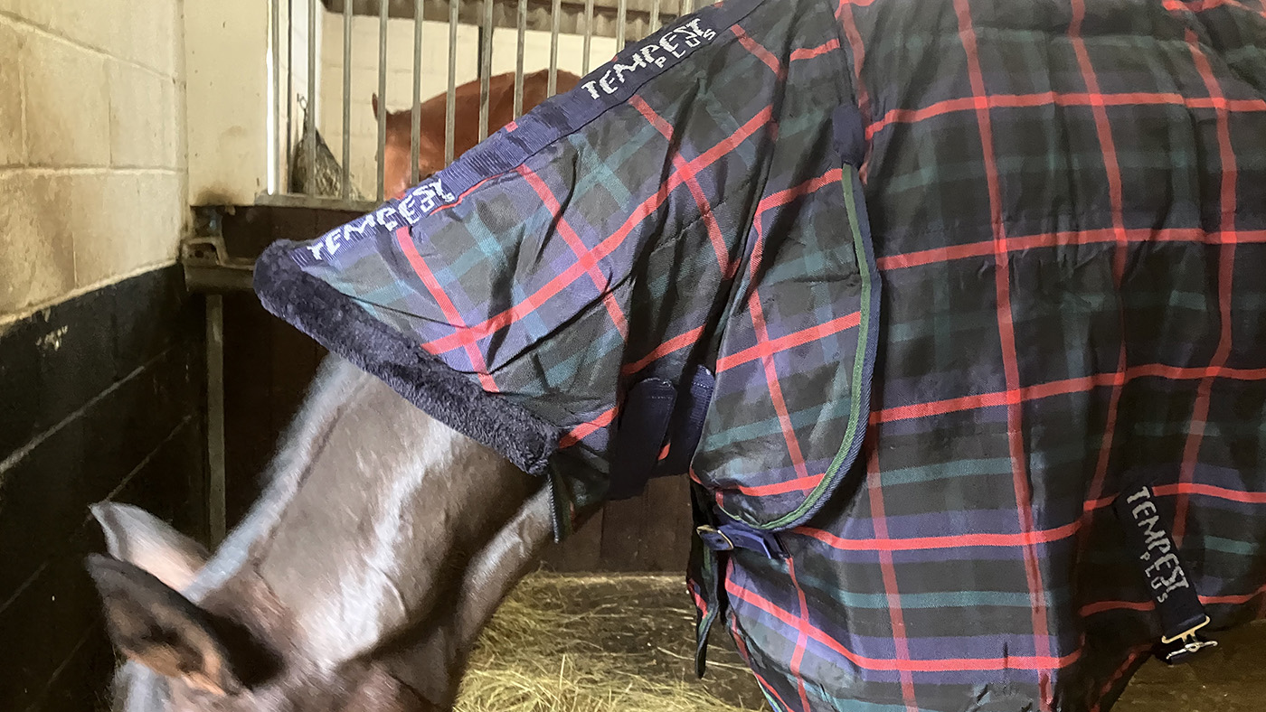 Shires Tempest Plus stable rug