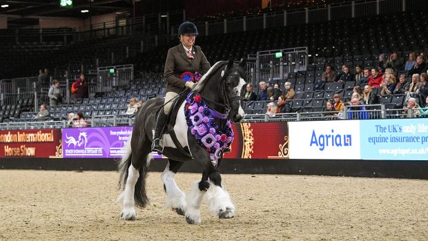 Amy Hunter and Pillgrim top the 2022 SSADL ridden supreme championship at London International Horse Show