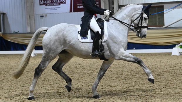 Anna Ross riding Habouche