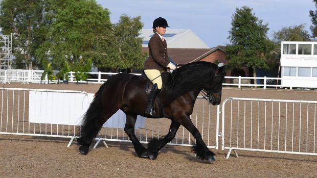 Aimee Devane and Griseburn Lester has qualified for the 2022 BSPS Heritage M&M supreme ridden final