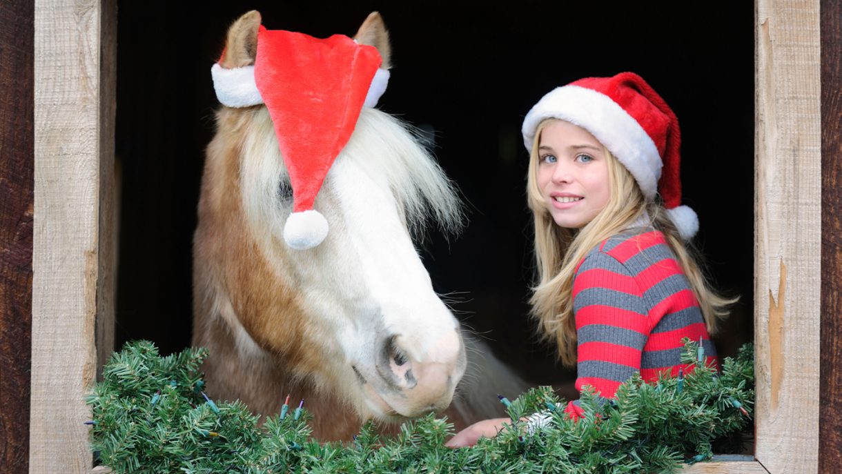 Christmas gifts for horses that will go down a treat | Horse & Hound