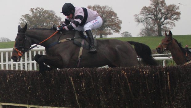 Bradley Gibbs riding Dawnie Boy