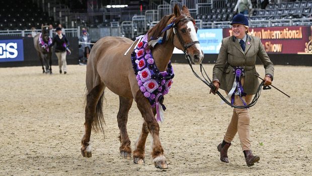 Emma Coates and Charlie Brown lift the 2022 SSADL in-hand championship title at London International